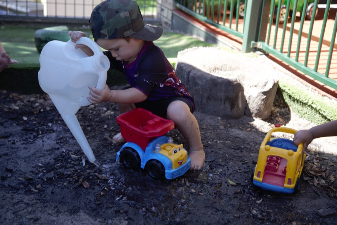 Dolphin Room Blog #1