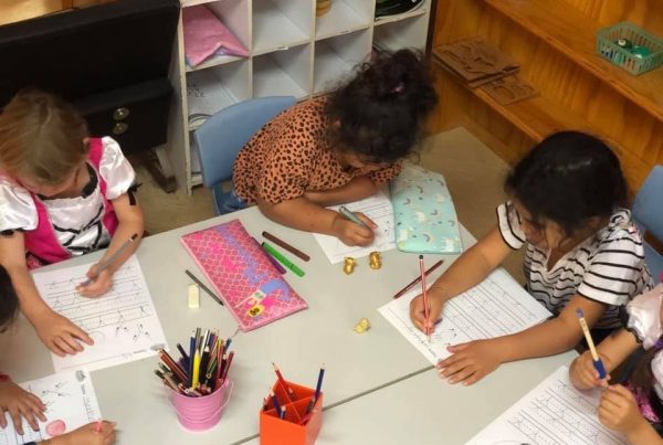 bright kids Sea Turtle final blog 2019