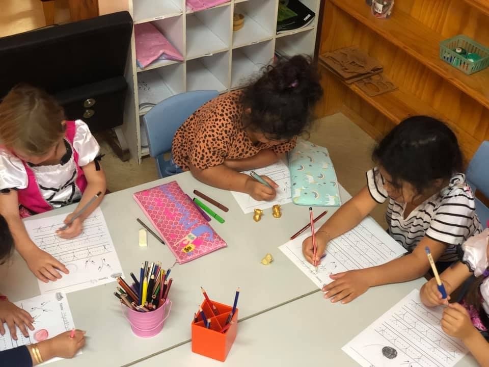 Sea Turtles final blog 2019