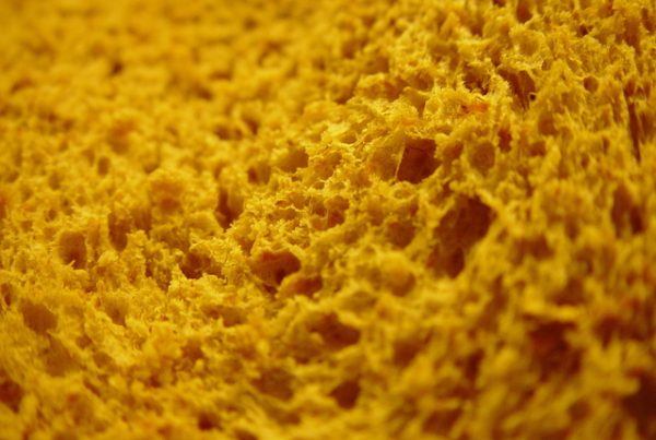 Favourite activity this week