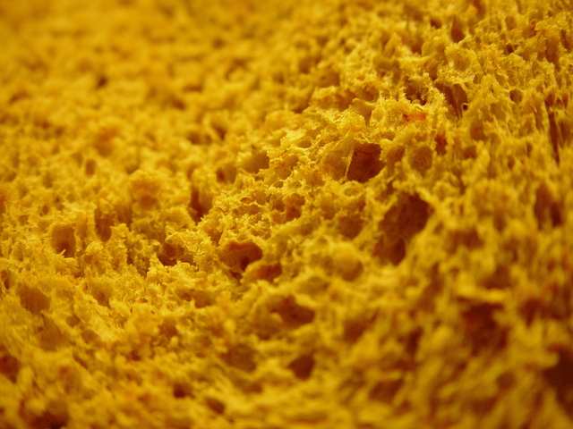 Favourite Activity this week