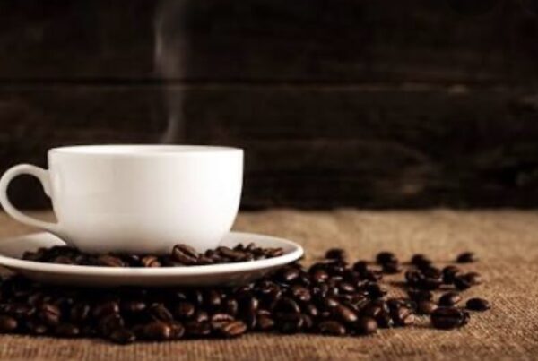 'Breakfast On The Go' at Bright Kids Early Learning Centre in Nerang.