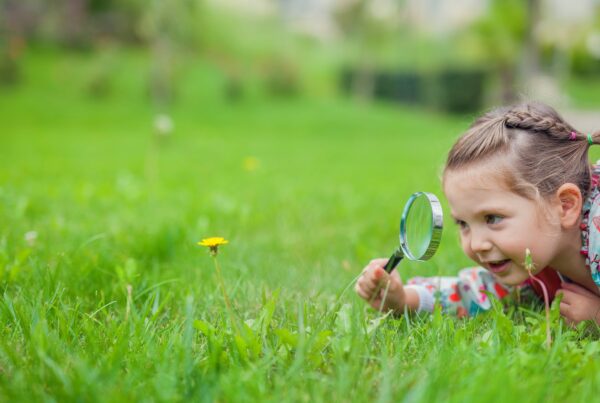 Bush Kindy nature inspired program at Bright kids ELC in Nerang Best childcare centre long daycare