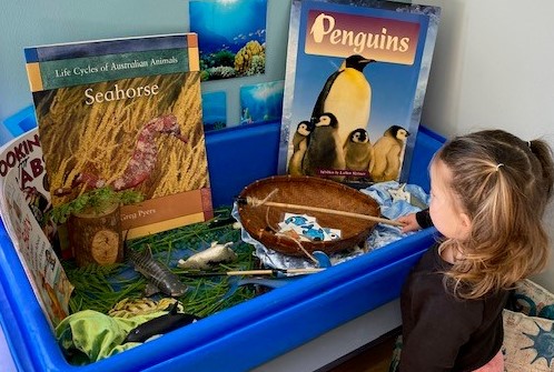 ocean sensory in Dolphins At Bright Kids ELC Nerang