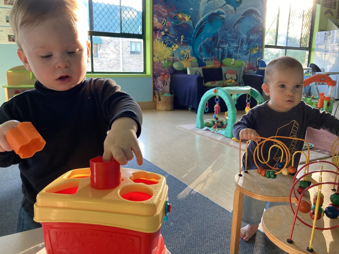 Developmental Milestones