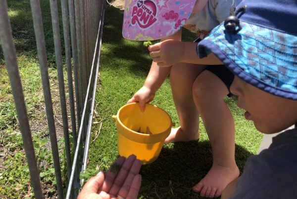 Nature play in snakes room at Bright Kids Early Learning Centre in Nerang, long daycare centre, best childcare centre.