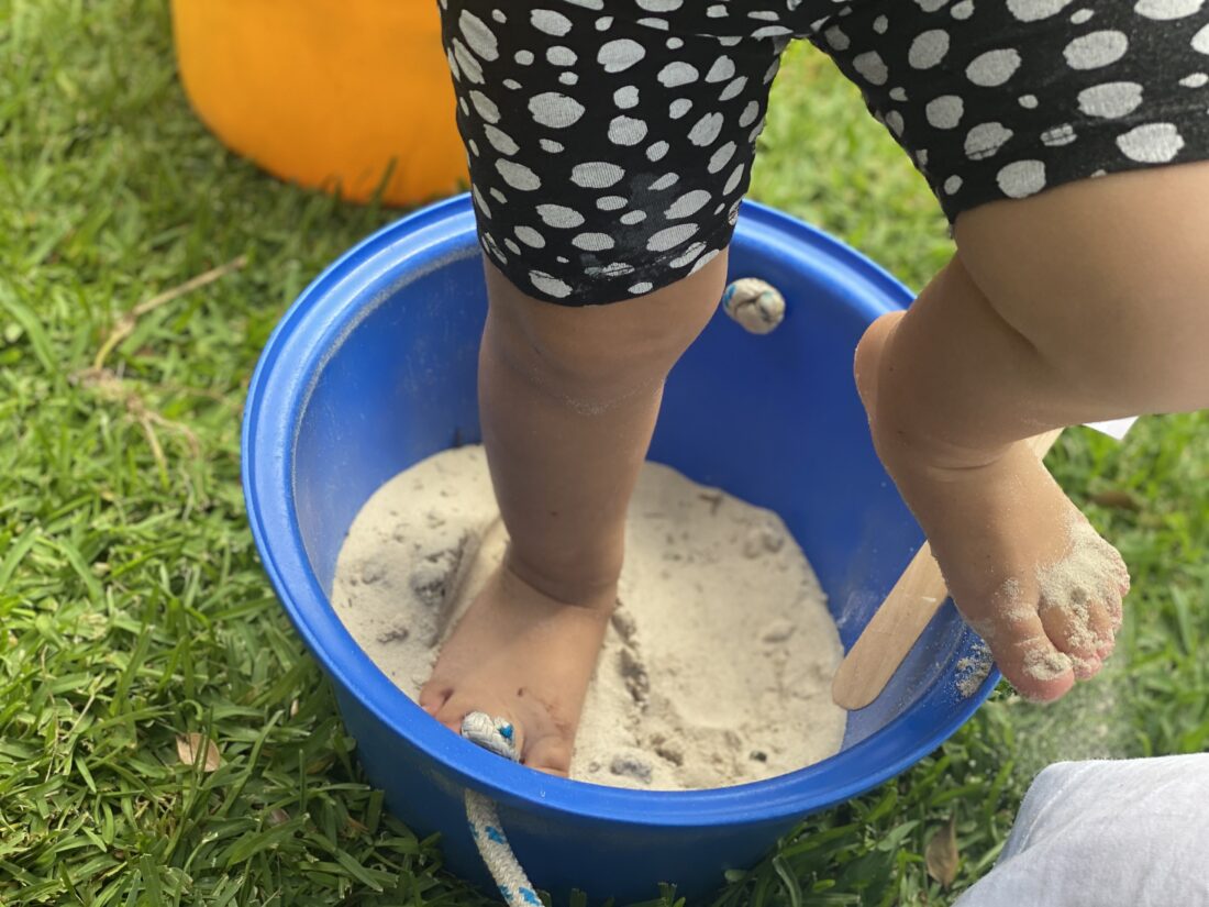 Exploring our natural world