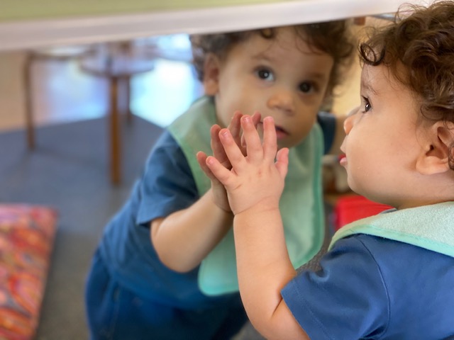 Developmental Milestones in Babies