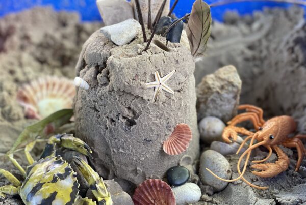 Nature creation with sea Turtles at Bright kids ELC in Nerang, best childcare centre, long daycare