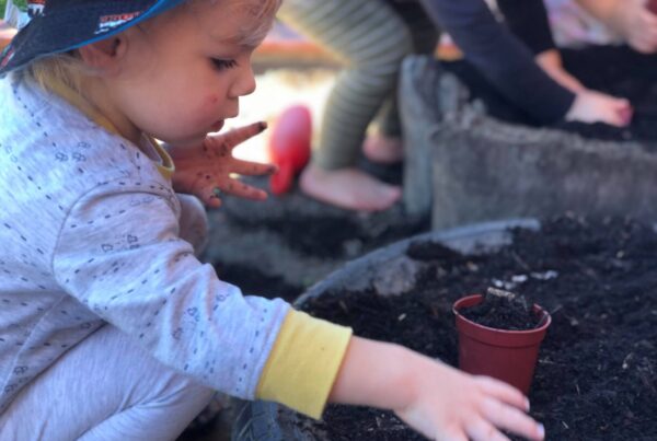 Bush Tucker Garden with toddlers at Bright kids ELC in Nerang, best childcare centre, long daycare centre