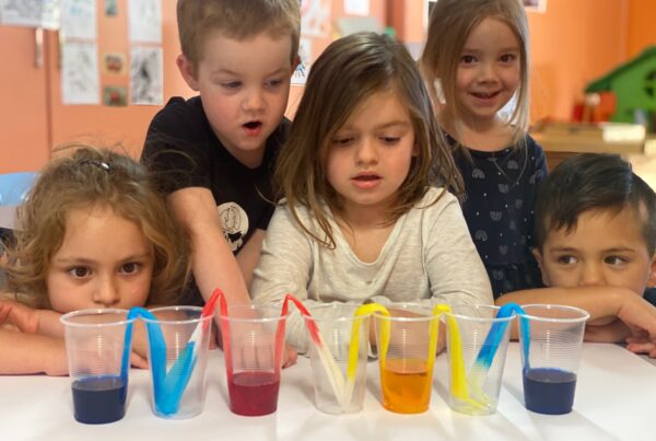 science experiment in Sea Turtles room at Bright Kids ELC in Nerang, best childcare centre, long daycare centre