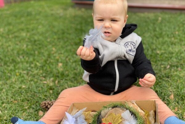 Nature sensory experience in Little Fish room at Bright Kids ELC in Nerang. best childcare centre, long daycare