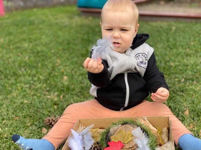 Bush Kindy Nature Inspired Experiences