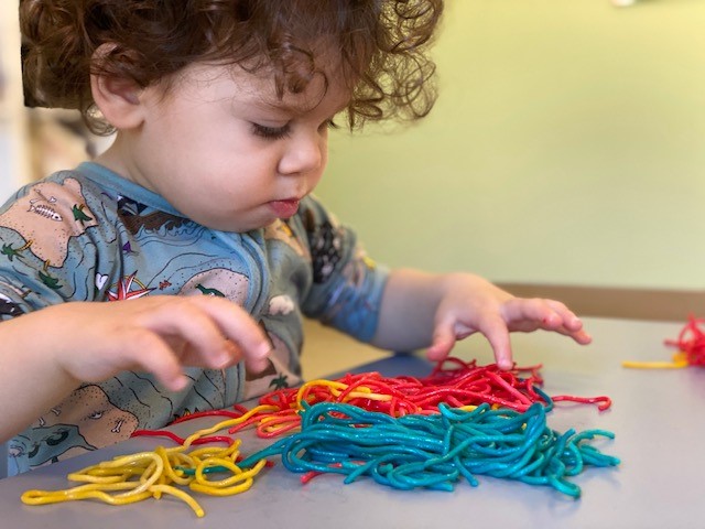 Developmental Overview