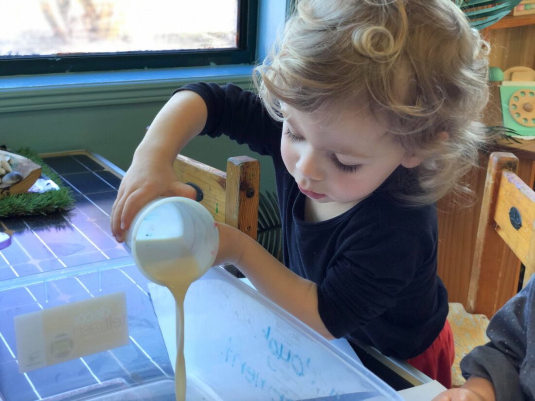 Developmental Milestones