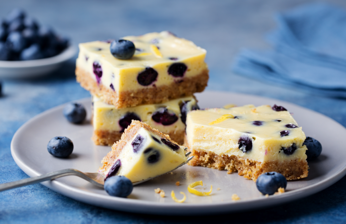 Frozen Yoghurt Blueberry Slice