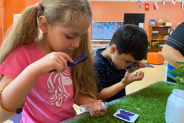 Investigating in Sea Turtles room at Bright Kids ELC in Nerang best childcare centre long daycare pre prep