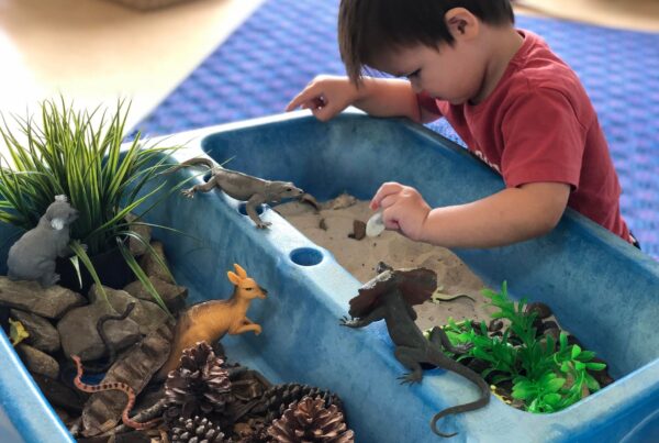 Nature Sensory with Dolphins children at Bright Kids ELC in Nerang best childcare centre long daycare