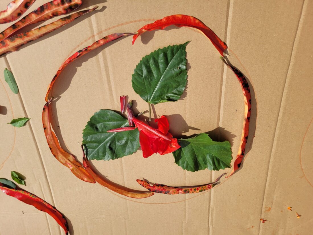 Nature’s Resources