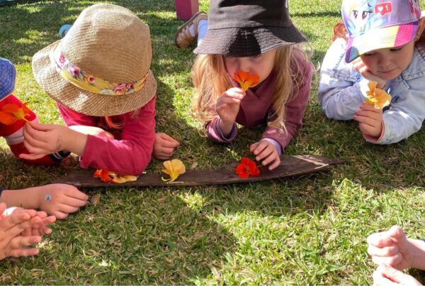 Nature is our playground with sea turtle room at Bright Kids Centre in Nerang best childcare centre long daycare Nerang Queensland