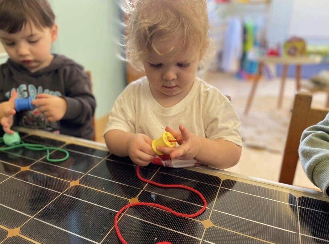 Developmental Milestones in Dolphins Toddlers